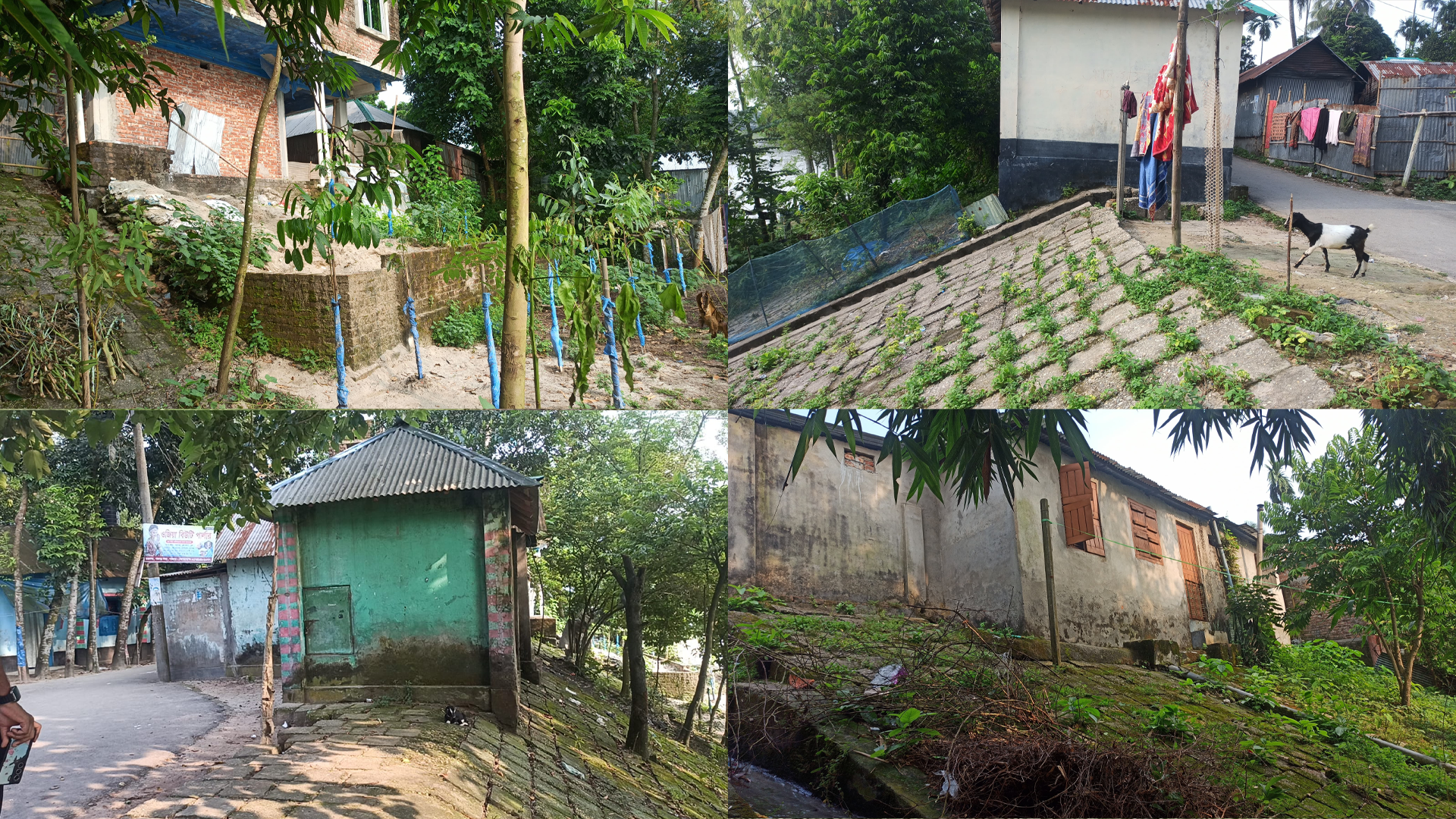 করতোয়া নদীর রক্ষাবাঁধ দখল করে বহুতল ভবন, দোকানসহ নানা স্থাপনা
